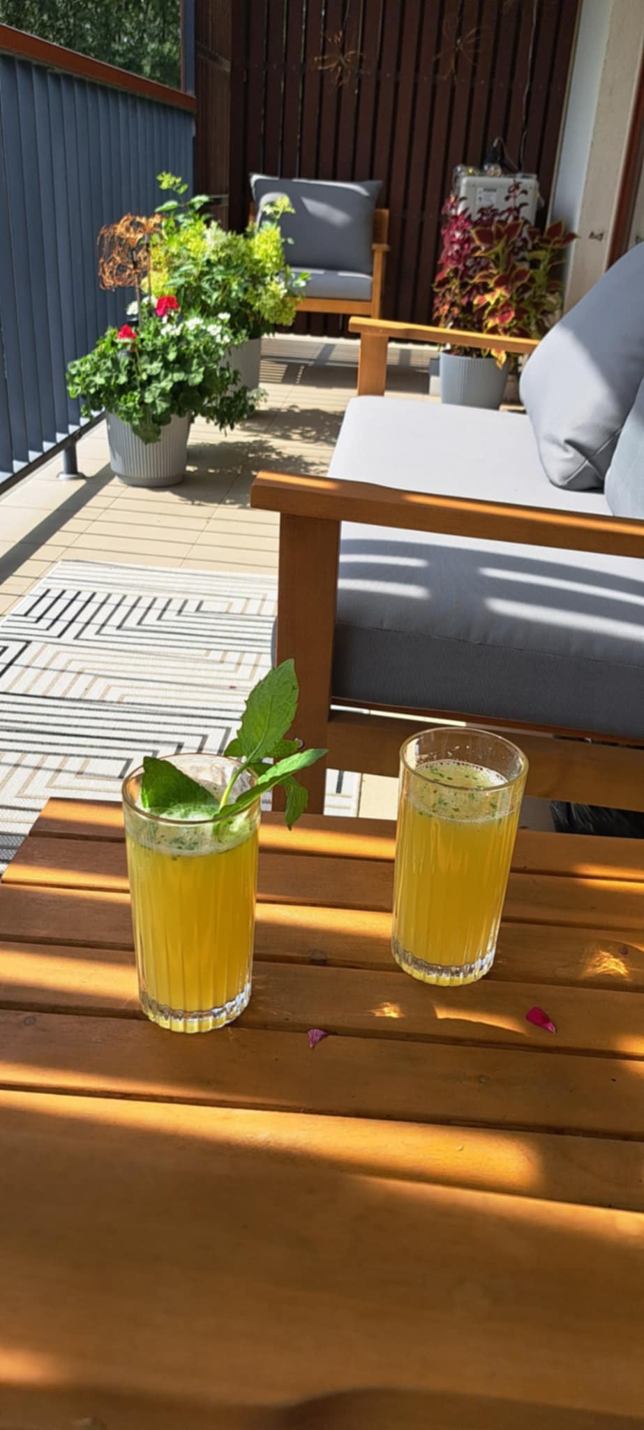 Bezalkoholowe mojito Thermomix